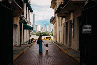 Potty Training in Panama