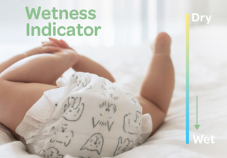 Clear+Dry® Natural Disposable Diapers