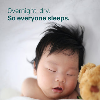 Overnight-dry. So everyone sleeps.
