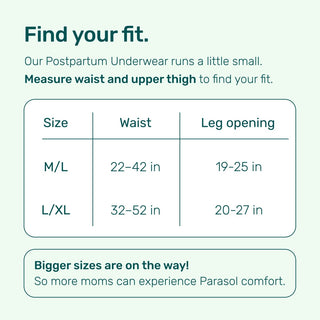 Recovery Care™ Postpartum Underwear - Parasol Co
